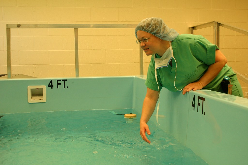 Understand What Is Hydrotherapy - Mostfit Physiotherapy Center Understand What Is Hydrotherapy - Mostfit Physiotherapy Center